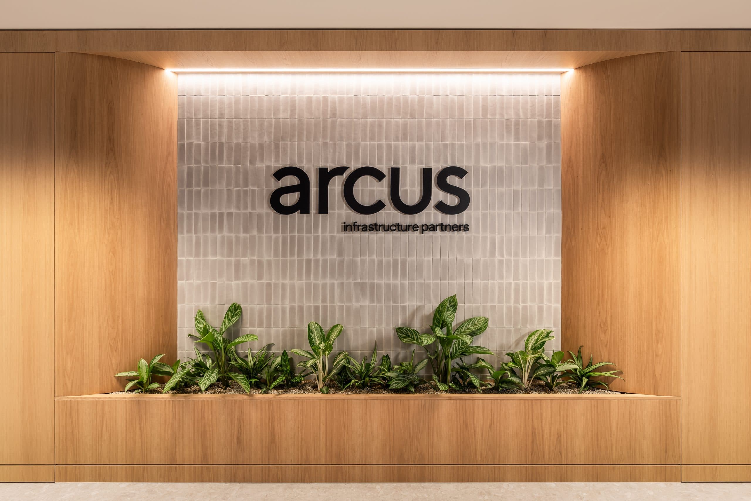 Arcus